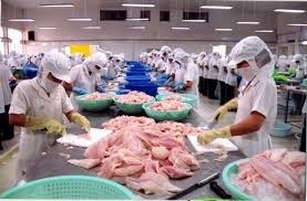 Nhiều DN thủy sản chỉ còn hoạt động với 30% công suất